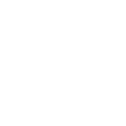 Seguimiento y ajustes oportunos